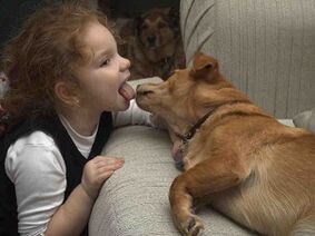 uma criança beija um cachorro e fica infectada com parasitas