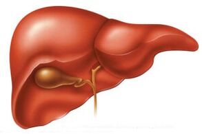 fígado aumentado com parasitas
